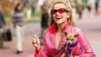 Legally Blonde Movie Review: Themes, Characters, Production, and Cultural Impact